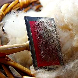 Landwirtschaft als Lernort