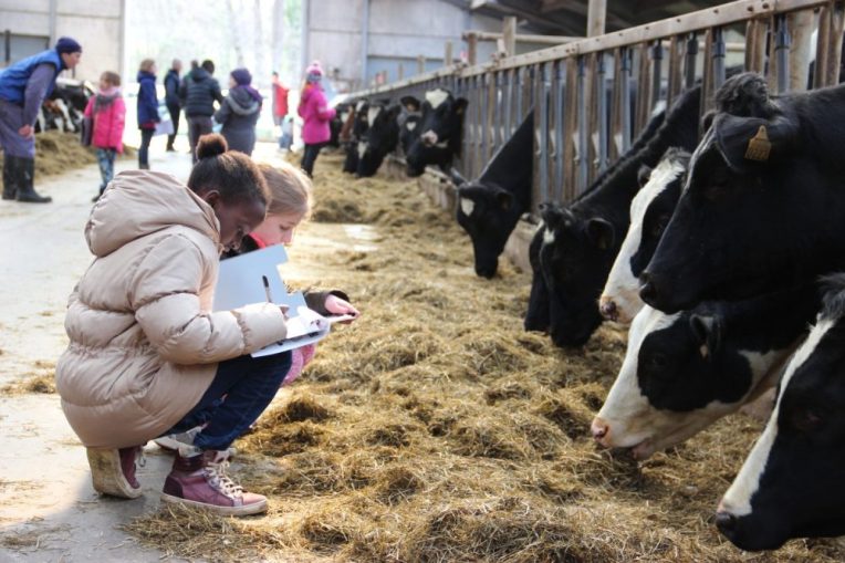 Plattelandsklasse_G_Bruels