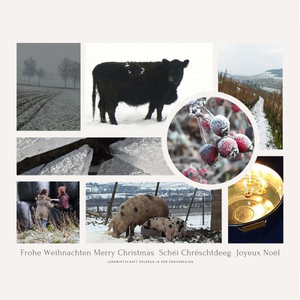 Grüsse zum Jahreswechsel