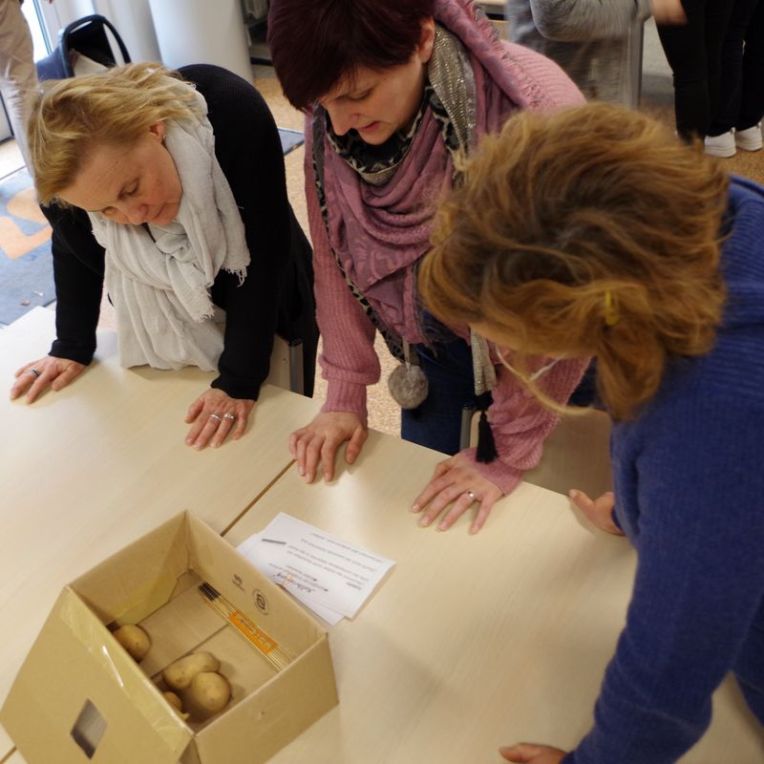 Drei Tage Bauernhofpädagogik