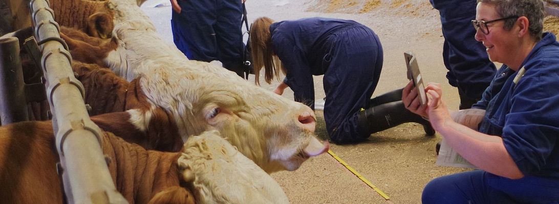 Bauernhofpädagogik Großregion Hofgut Neumühle