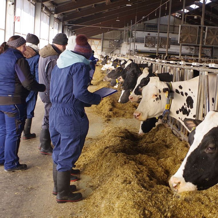 Neuer Zertifikatskurs Bauernhofpädagogik startet im januar&nbsp;2026